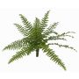Helecho Boston artificial SASCHA en vara de fijación, zona protegida, verde, 25cm, Ø50cm