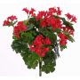 Geranio artificial BERENIKE con vara de fijación, zona protegida, rojo, 40cm, Ø5-8cm