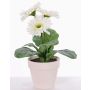 Gerbera simulada SIMONE en maceta decorativa, blanca, 30cm, Ø9,5cm