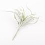 Tillandsia Stricta artificial ADELE sobre palo, verde-gris, 25cm, Ø20cm