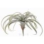 Tillandsia Cites artificial ANELIA sobre palo, verde-gris, 30cm