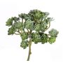 Echeveria artificial BLAIR con barra para fijación, verde, 20cm, Ø10cm