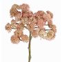 Sedum de plástico DANICA rosa, rosa, 20cm, Ø10cm