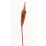 Bulbinella artificial TALUNA, marrón-rojo, 65cm, Ø4cm
