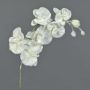 Rama de orquídea Phalaenopsis sintética MYRIA, cubierta de nieve, blanca, 75cm