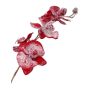 Orquídea Phalaenopsis artificial Orchid NEILA, cubierto de nieve, rojo, 75cm