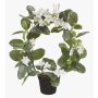Corona de jazmin de madagascar artificial ALTAY, blanco, 40cm