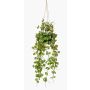 Cesta colgante de ceropegia artificial BOLTEN, verde, 50cm