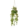 Cesta colgante de ceropegia artificial BOLTEN, verde, 50cm