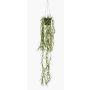 Cesta colgante de cactus coral artificial BOLTEN, verde, 80cm