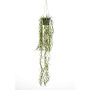 Cesta colgante de cactus coral artificial BOLTEN, verde, 80cm