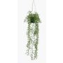 Cesta colgante de senecio artificial BOLTEN, verde, 70cm