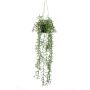 Cesta colgante de senecio artificial BOLTEN, verde, 70cm