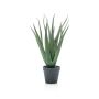 Planta artificial de aloe vera CHRISTIE, verde, 45cm