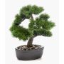 Bonsai pino de plástico GALDOS en cuenco, 30cm
