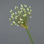 Allium artificial KATYNA, crema, 70cm