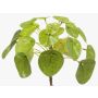 Planta china del dinero artificial SYBIL en vara de ajuste, verde, 13cm