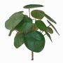 Planta china del dinero artificial SYBIL en vara de ajuste, verde, 20cm