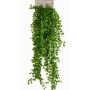 Ficus pumila artificial BASQUIAT en vara de ajuste, 80cm