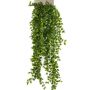 Ficus pumila artificial BASQUIAT en vara de ajuste, 80cm