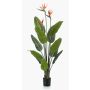 Strelitzia artificial TAPIES, naranja-violeta, 120cm