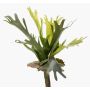 Helecho de platycerium artificial BAROJA en vara de ajuste, verde, 40cm