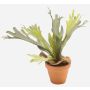 Helecho de platycerium artificial BAROJA en maceta de terracota, verde, 50cm