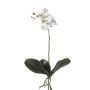 Orquídea phalaenopsis artificial FAO en vara de ajuste, blanco, 45cm