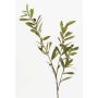 Rama de olivo artificial PARKER con frutos, 80cm