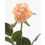 Rosa artificial BRINA, crema-rosa, 70cm