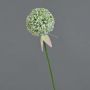 Allium artificial DURBAN, blanco, 70cm
