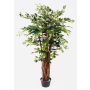 Ficus benjamina artificial ADOLFO, troncos naturales, verde, 175cm
