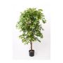 Ficus benjamina artificial BARTOLO, tronco real, verde, 140cm