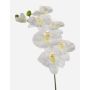 Rama de orquídeas phalaenopsis de plástico BASTET, blanco, 80cm