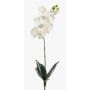 Orquídea phalaenopsis artificial ISIS, en vara de ajuste, blanco, 60cm