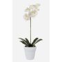 Orquídea phalaenopsis artificial ISIS, maceta de cerámica, blanco, 55cm