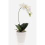 Orquídea phalaenopsis artificial ISIS, maceta de cerámica, blanco, 40cm