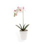 Orquídea phalaenopsis artificial ISIS, maceta de cerámica, blanco-rosa, 40cm