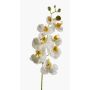 Rama de orquídeas phalaenopsis artificial MINA, blanco, 70cm