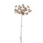 Heracleum de plástico EVANDRO, gris, 125cm