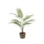 Palmera de chamaedorea artificial ALUVIAL en maceta de terracota, 85cm