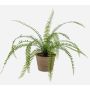 Helecho espada artificial GARIBALDI en maceta de terracota, verde, 60cm