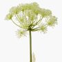 Heracleum artificial EVERALDO, blanco, 80cm