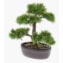 Bonsai de cedro artificial BERTOLT en cuenco, 30cm