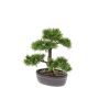 Bonsai de cedro artificial BERTOLT en cuenco, 30cm