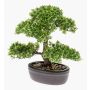 Bonsai de ficus artificial HESPER en cuenco, 30cm