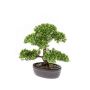 Bonsai de ficus artificial HESPER en cuenco, 30cm
