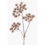 Planta artificial de heracleum BELMIRO, marrón, 100cm