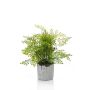 Helecho de adiantum de plástico SANTINA en maceta de cemento, verde, 30cm