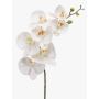 Rama de orquídeas phalaenopsis artificial NEITH, blanco, 85cm